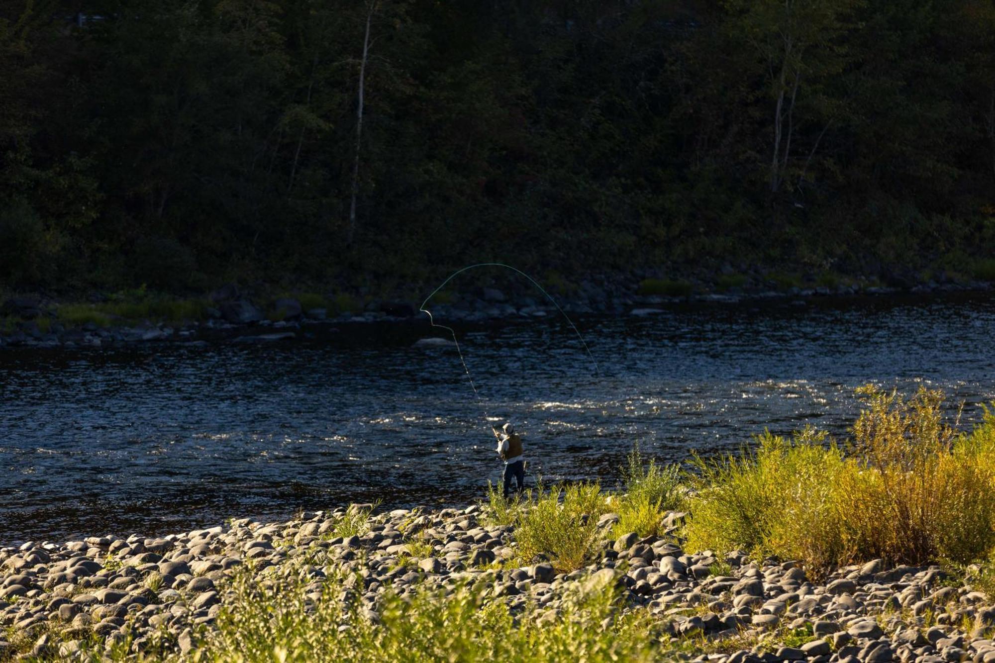 Best Western Lodge At River'S Edge Orofino Екстериор снимка